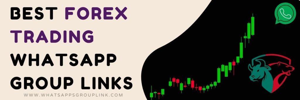 Best Forex Trading WhatsApp Group Links